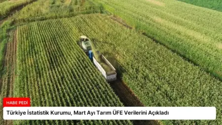 Türkiye İstatistik Kurumu, Mart Ayı Tarım ÜFE Verilerini Açıkladı