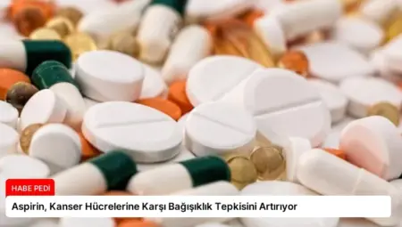 Aspirin, Kanser Hücrelerine Karşı Bağışıklık Tepkisini Artırıyor