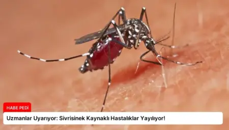Uzmanlar Uyarıyor: Sivrisinek Kaynaklı Hastalıklar Yayılıyor!