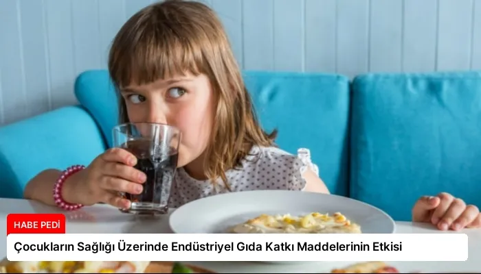 Çocukların Sağlığı Üzerinde Endüstriyel Gıda Katkı Maddelerinin Etkisi