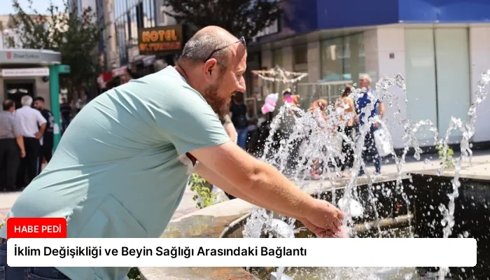 İklim Değişikliği ve Beyin Sağlığı Arasındaki Bağlantı