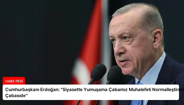 Cumhurbaşkanı Erdoğan: “Siyasette Yumuşama Çabamız Muhalefeti Normalleştirme Çabasıdır”