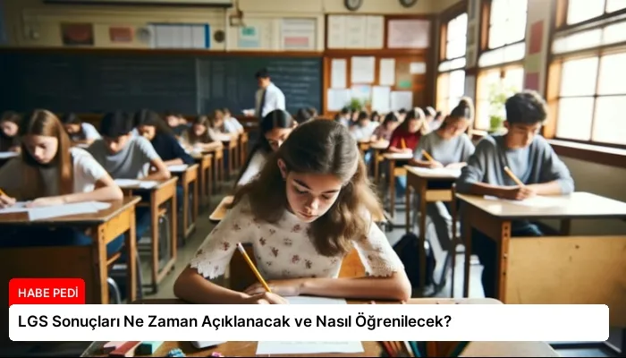 LGS Sonuçları Ne Zaman Açıklanacak ve Nasıl Öğrenilecek?