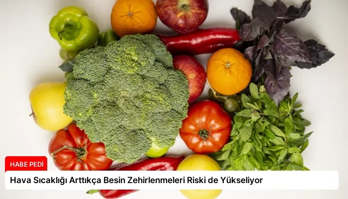 Hava Sıcaklığı Arttıkça Besin Zehirlenmeleri Riski de Yükseliyor