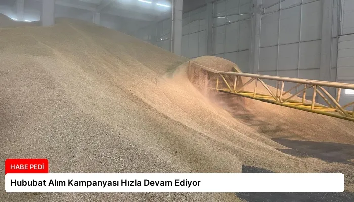 Hububat Alım Kampanyası Hızla Devam Ediyor