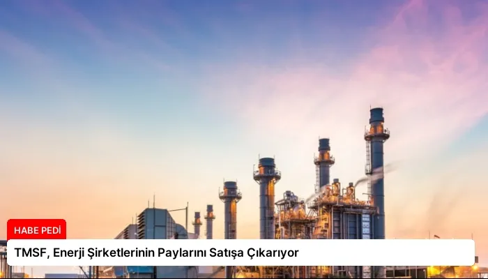 TMSF, Enerji Şirketlerinin Paylarını Satışa Çıkarıyor