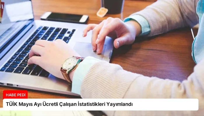 TÜİK Mayıs Ayı Ücretli Çalışan İstatistikleri Yayımlandı