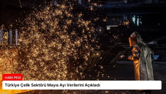 Türkiye Çelik Sektörü Mayıs Ayı Verilerini Açıkladı