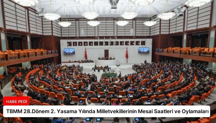 TBMM 28.Dönem 2. Yasama Yılında Milletvekillerinin Mesai Saatleri ve Oylamaları