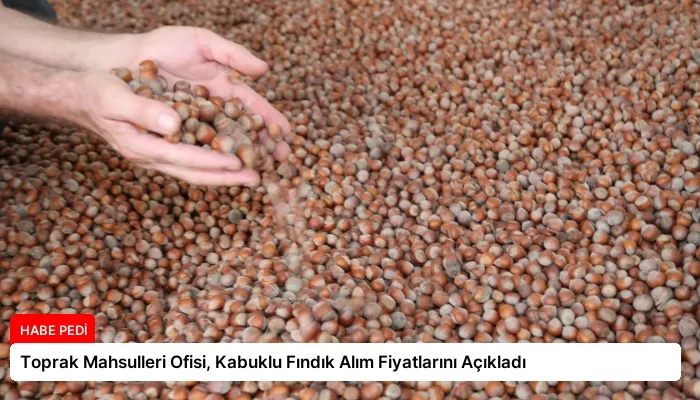 Toprak Mahsulleri Ofisi, Kabuklu Fındık Alım Fiyatlarını Açıkladı