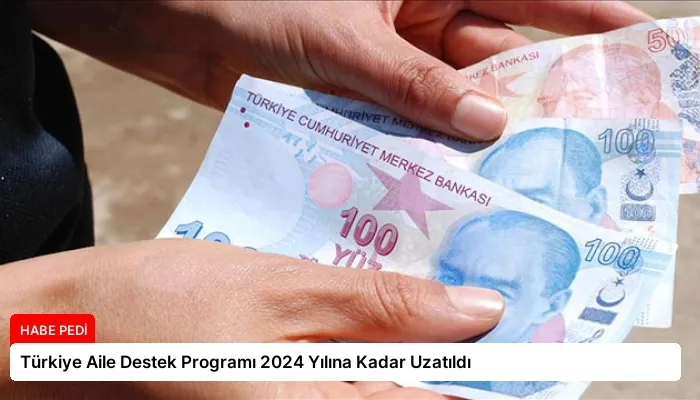 Türkiye Aile Destek Programı 2024 Yılına Kadar Uzatıldı
