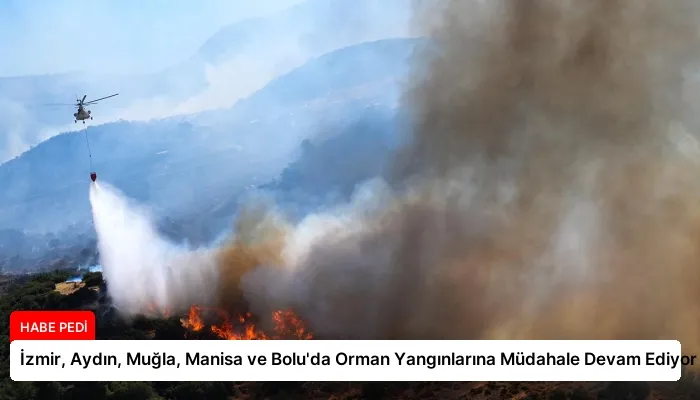 İzmir, Aydın, Muğla, Manisa ve Bolu’da Orman Yangınlarına Müdahale Devam Ediyor