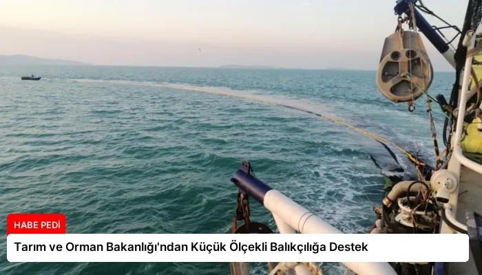 Tarım ve Orman Bakanlığı’ndan Küçük Ölçekli Balıkçılığa Destek