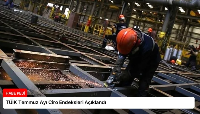 TÜİK Temmuz Ayı Ciro Endeksleri Açıklandı