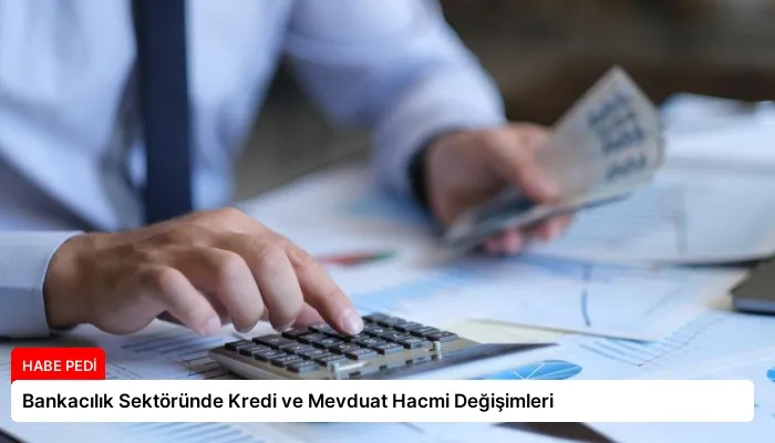 Bankacılık Sektöründe Kredi ve Mevduat Hacmi Değişimleri