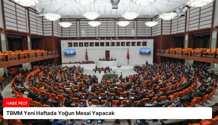 TBMM Yeni Haftada Yoğun Mesai Yapacak