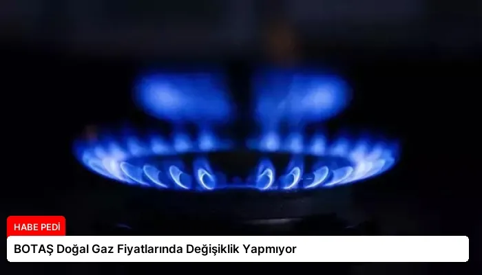 BOTAŞ Doğal Gaz Fiyatlarında Değişiklik Yapmıyor
