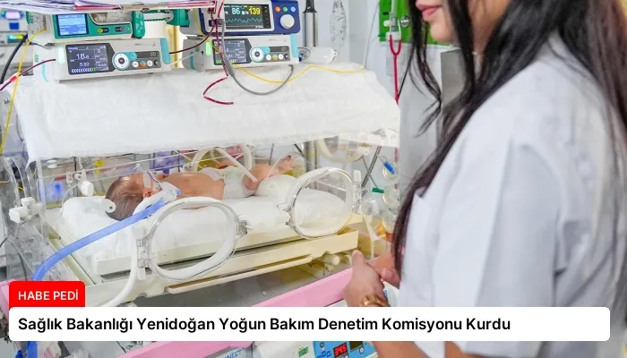 Sağlık Bakanlığı Yenidoğan Yoğun Bakım Denetim Komisyonu Kurdu
