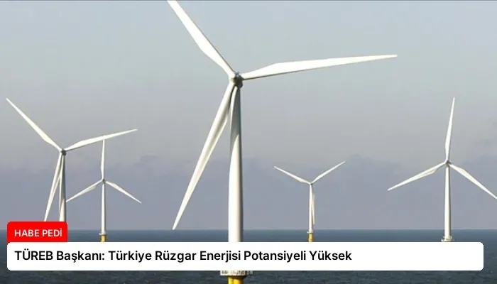 TÜREB Başkanı: Türkiye Rüzgar Enerjisi Potansiyeli Yüksek