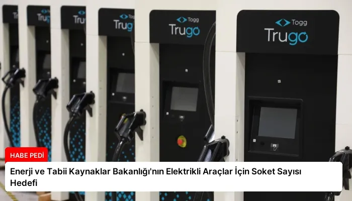 Enerji ve Tabii Kaynaklar Bakanlığı’nın Elektrikli Araçlar İçin Soket Sayısı Hedefi