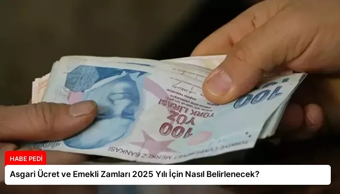 Asgari Ücret ve Emekli Zamları 2025 Yılı İçin Nasıl Belirlenecek?