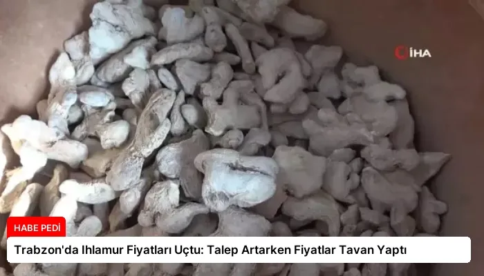 Trabzon’da Ihlamur Fiyatları Uçtu: Talep Artarken Fiyatlar Tavan Yaptı