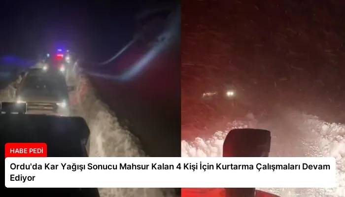 Ordu’da Kar Yağışı Sonucu Mahsur Kalan 4 Kişi İçin Kurtarma Çalışmaları Devam Ediyor