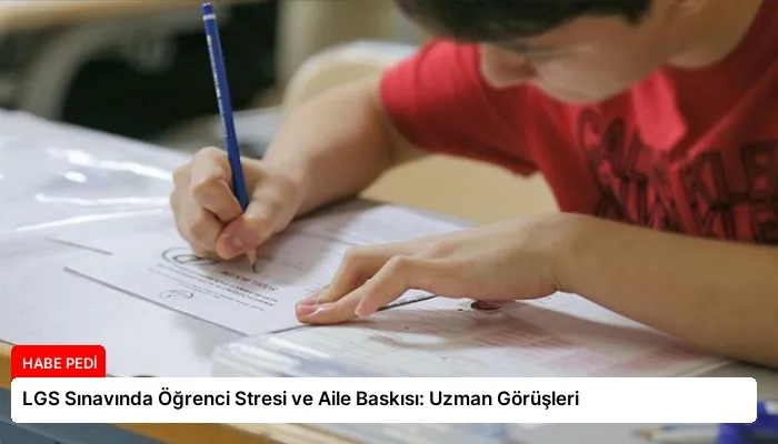 LGS Sınavında Öğrenci Stresi ve Aile Baskısı: Uzman Görüşleri