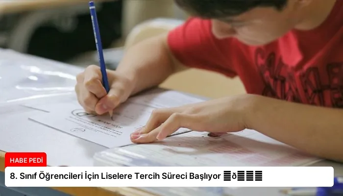 8. Sınıf Öğrencileri İçin Liselere Tercih Süreci Başlıyor ⏬👇