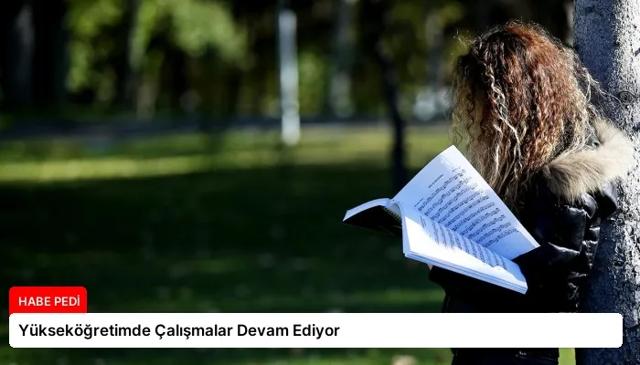 Yükseköğretimde Çalışmalar Devam Ediyor