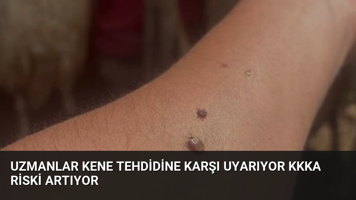 Uzmanlar Kene Tehdidine Karşı Uyarıyor KKKA Riski Artıyor