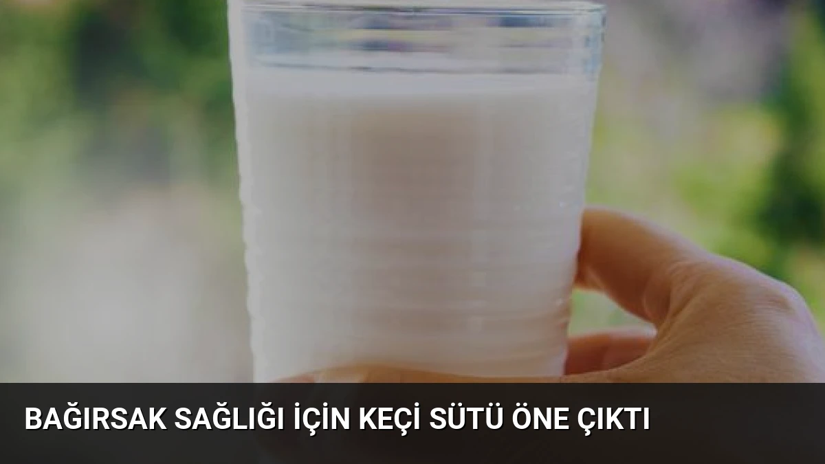Bağırsak Sağlığı İçin Keçi Sütü Öne Çıktı