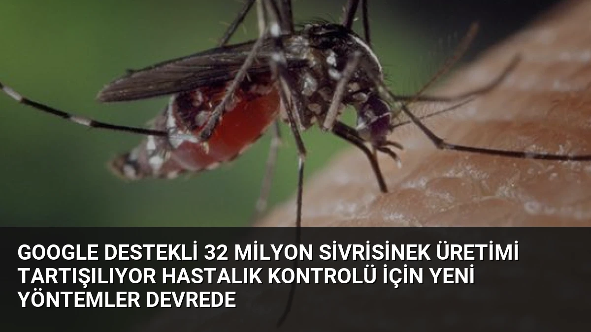Google Destekli 32 Milyon Sivrisinek Üretimi Tartışılıyor Hastalık Kontrolü İçin Yeni Yöntemler Devrede