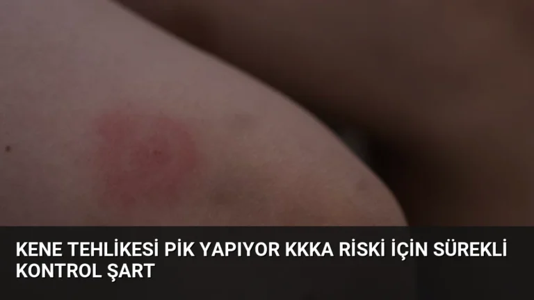 Kene Tehlikesi Pik Yapıyor KKKA Riski İçin Sürekli Kontrol Şart