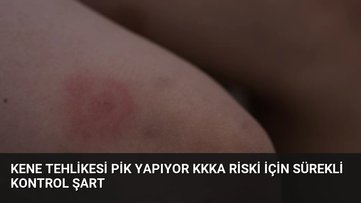 Kene Tehlikesi Pik Yapıyor KKKA Riski İçin Sürekli Kontrol Şart