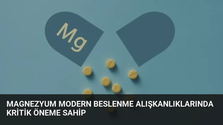 Magnezyum Modern Beslenme Alışkanlıklarında Kritik Öneme Sahip