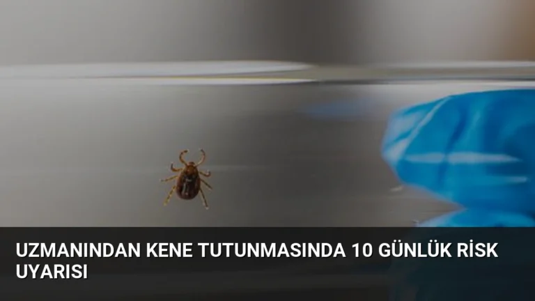 Uzmanından Kene Tutunmasında 10 Günlük Risk Uyarısı
