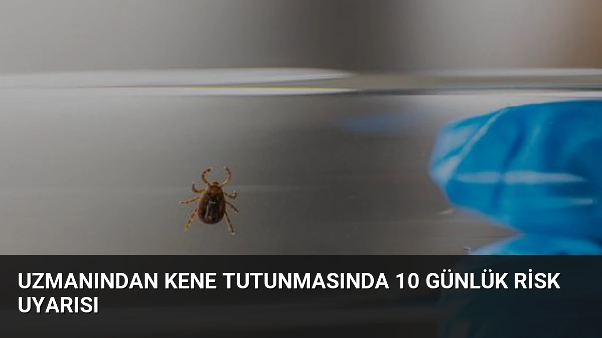 Uzmanından Kene Tutunmasında 10 Günlük Risk Uyarısı
