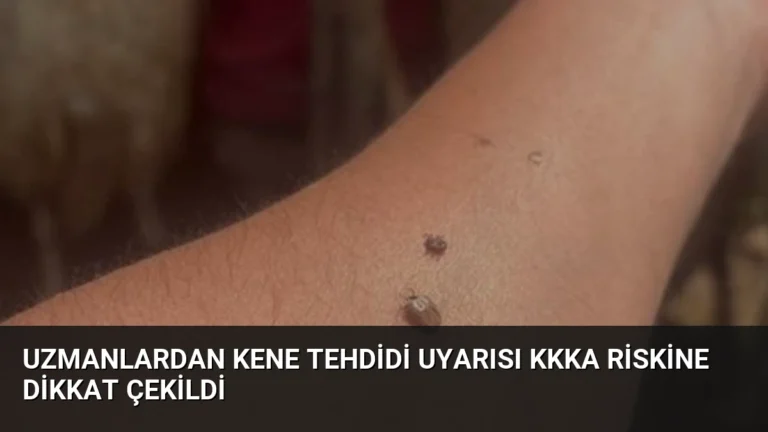 Uzmanlardan Kene Tehdidi Uyarısı KKKA Riskine Dikkat Çekildi