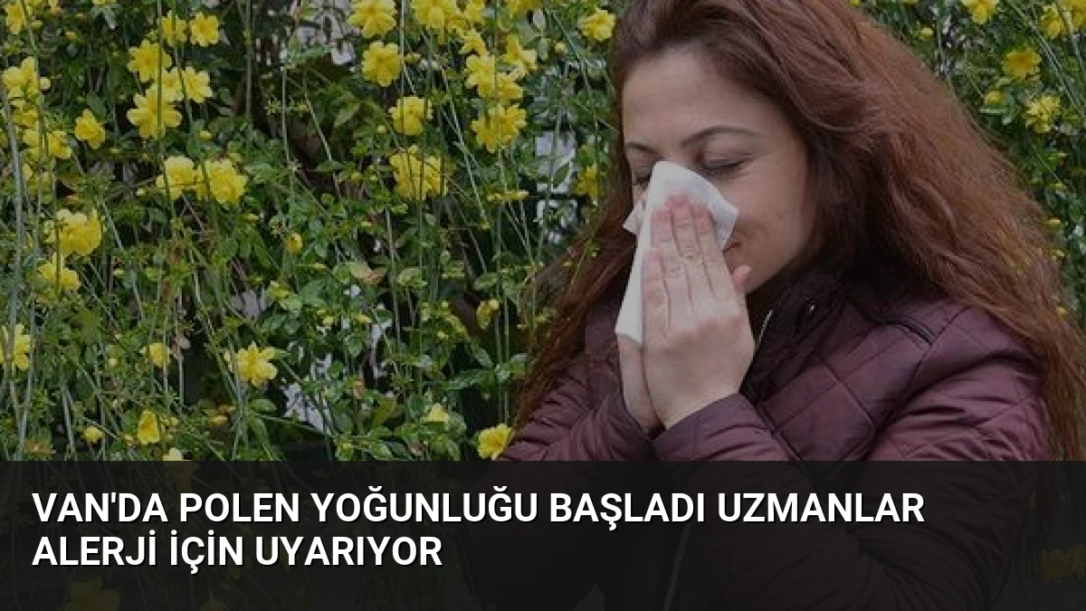 Van’da Polen Yoğunluğu Başladı Uzmanlar Alerji İçin Uyarıyor