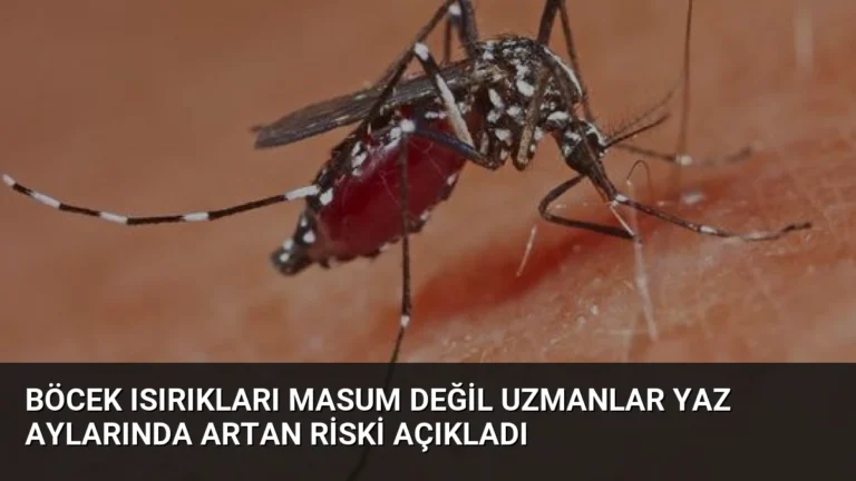 Böcek Isırıkları Masum Değil Uzmanlar Yaz Aylarında Artan Riski Açıkladı