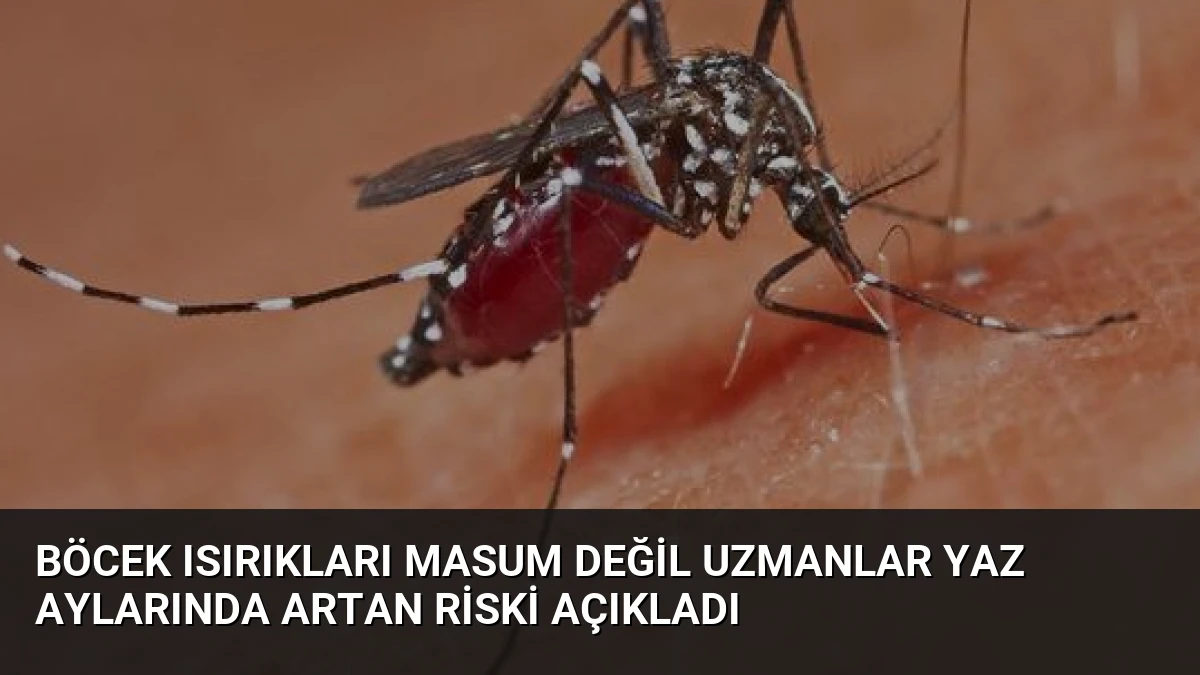 Böcek Isırıkları Masum Değil Uzmanlar Yaz Aylarında Artan Riski Açıkladı