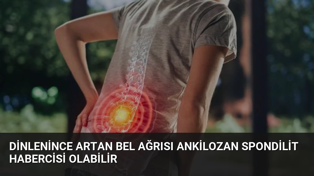 Dinlenince Artan Bel Ağrısı Ankilozan Spondilit Habercisi Olabilir