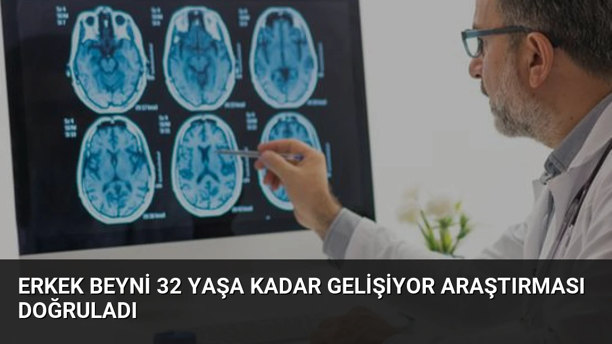 Erkek Beyni 32 Yaşa Kadar Gelişiyor Araştırması Doğruladı