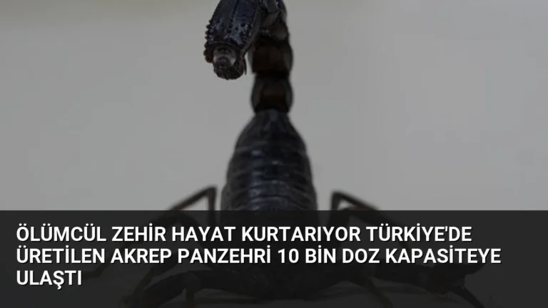 Ölümcül Zehir Hayat Kurtarıyor Türkiye’de Üretilen Akrep Panzehri 10 Bin Doz Kapasiteye Ulaştı