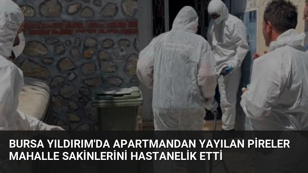 Bursa Yıldırım’da Apartmandan Yayılan Pireler Mahalle Sakinlerini Hastanelik Etti
