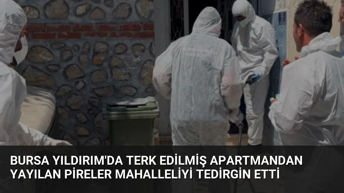 Bursa Yıldırım’da Terk Edilmiş Apartmandan Yayılan Pireler Mahalleliyi Tedirgin Etti