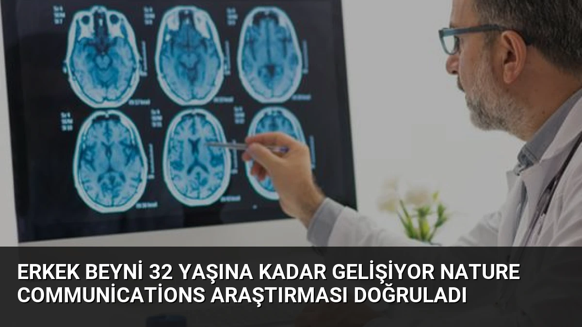 Erkek Beyni 32 Yaşına Kadar Gelişiyor Nature Communications Araştırması Doğruladı