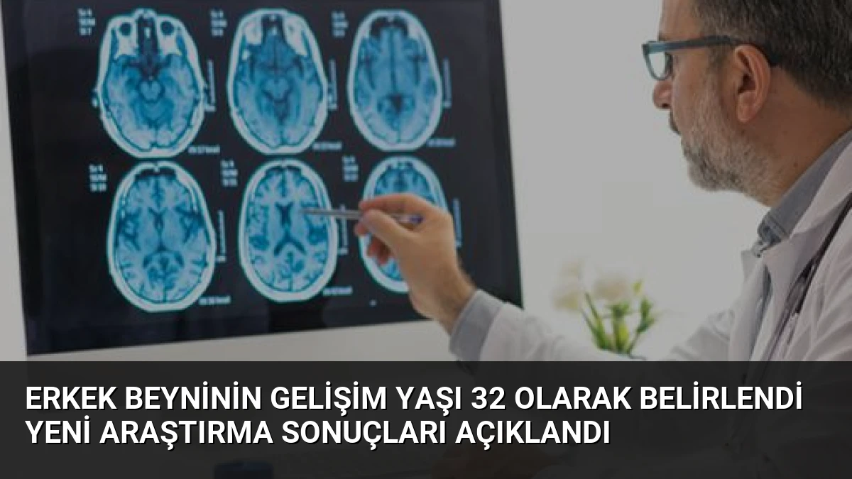 Erkek Beyninin Gelişim Yaşı 32 Olarak Belirlendi Yeni Araştırma Sonuçları Açıklandı