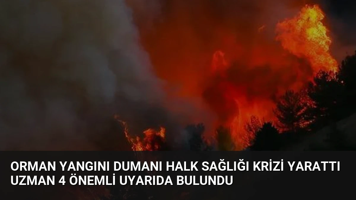 Orman Yangını Dumanı Halk Sağlığı Krizi Yarattı Uzman 4 Önemli Uyarıda Bulundu